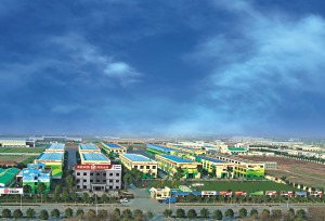 公司介绍